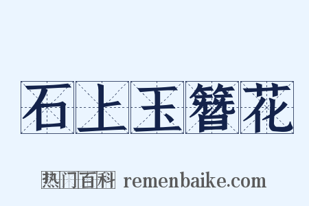 石上玉簪花是什么意思的图片